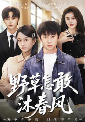 野草怎敢沐春风（61集）最热短剧抢先看