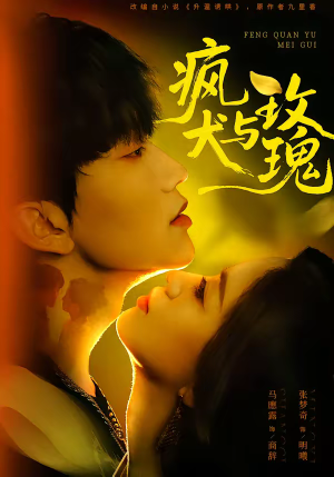 疯犬与玫瑰（80集）流畅播放免费看