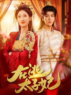 在逃太子妃（64集）观看软件