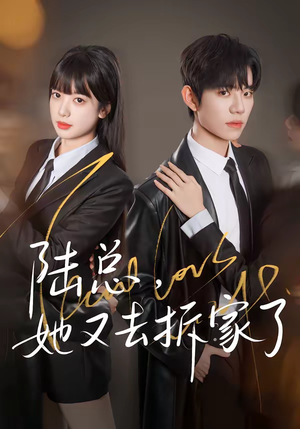 陆总，她又去拆家了（80集）短剧热播中