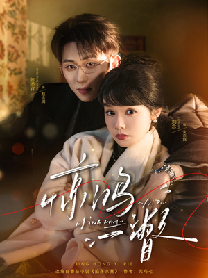 惊鸿一瞥（72集）一口气看完全集