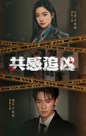 共感追凶（60集）网上可以看吗