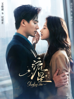 流星(77集) 流星(77集)在线播放