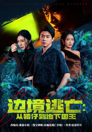 边境逃亡：从猪仔到地下国王（81集）最火短剧热播