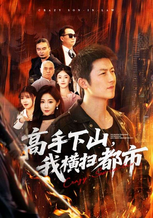 高手下山，我横扫都市（69集）热门短剧大全