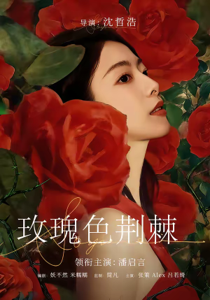 玫瑰色荆棘（60集）真的好看吗
