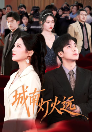 城南灯火远（72集）完整版