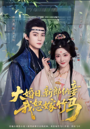 大婚日，新郎纳妾我怒嫁竹马（80集）爆款短剧一起追
