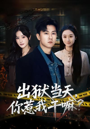 出狱当天，你惹我干嘛？（62集）悬疑短剧推荐