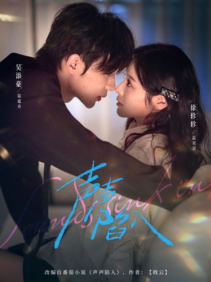 声声陷入（73集）爆款热门短剧