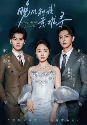 晚风知我意难寻（60集）短剧追到爽