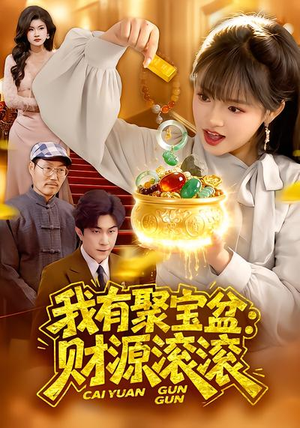 我有聚宝盆：财源滚滚（101集）热门短剧推荐