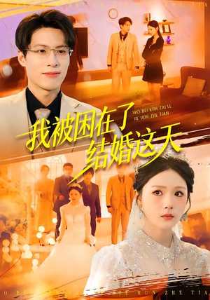 我被困在了结婚这天（40集）全集完整版