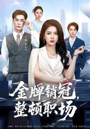金牌销冠，整顿职场（62集）评价怎么样