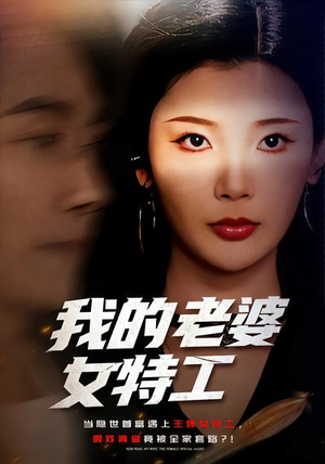 我的老婆女特工（62集）短剧全集完整版