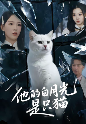 他的白月光是只猫（69集）在哪看