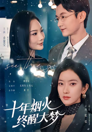 十年烟火，终醒大梦（60集）1-102集
