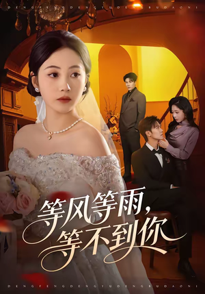 等风等雨,等不到你(65集) 等风等雨,等不到你(65集)精彩连连免费看