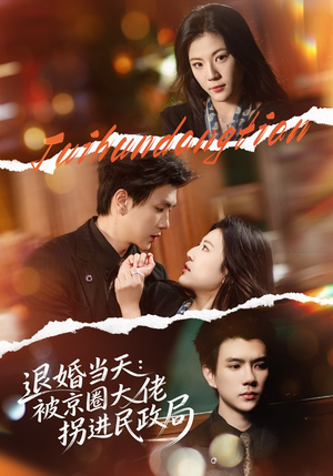 退婚当天：被京圈大佬拐进民政局（80集）精彩短剧追不停