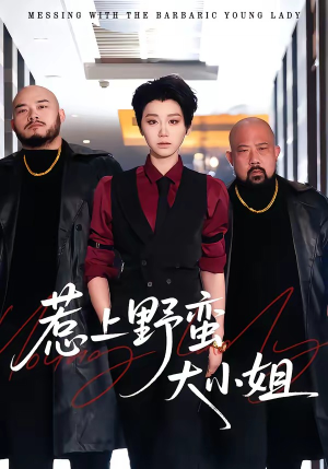 惹上野蛮大小姐（100集）短剧热门推荐