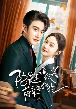 陆先生请低头萌妻要抱抱（51集）原创精彩短剧