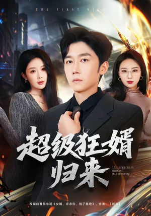 超级狂婿归来（81集）海量资源免费看