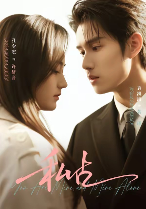 私占（63集）全集免费观看