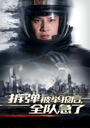 拆弹被举报后，全队急了（50集）爆款短剧追不停