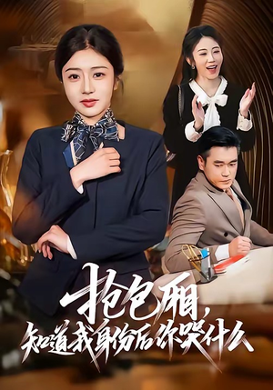 抢包厢，知道我身份后你哭什么（70集）好看短剧追不停