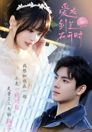 爱在剑兰花开时（56集）零花钱看整部剧