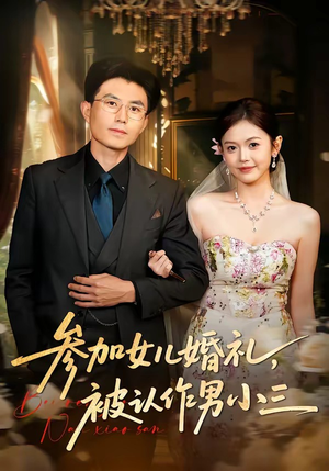 参加女儿婚礼，被认作男小三（36集）短剧分享剧集