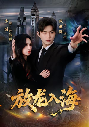 放龙入海（62集）网盘在线观看