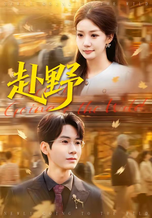 赴野（40集）高清无码免费看