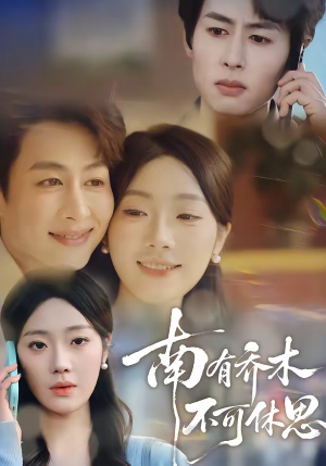 南有乔木，不可休思（68集）分享好看的短剧