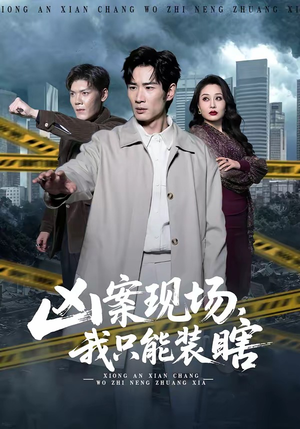 凶案现场，我只能装瞎（72集）全集在线看