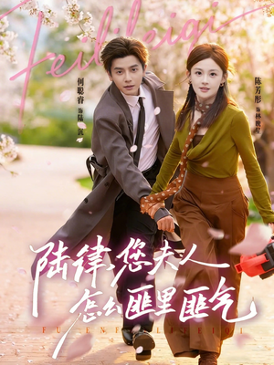 陆律，您夫人怎么匪里匪气（60集）UC网盘在线看