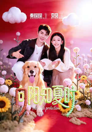 向阳知夏时（80集）短剧抢先看