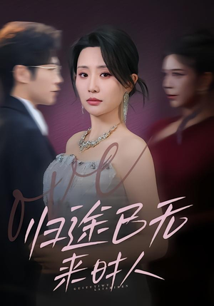 归途已无来时人（70集）短剧热门推荐