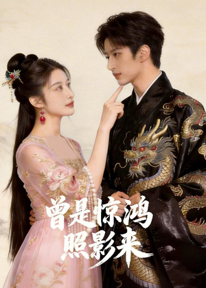 曾是惊鸿照影来（43集）在哪看免费