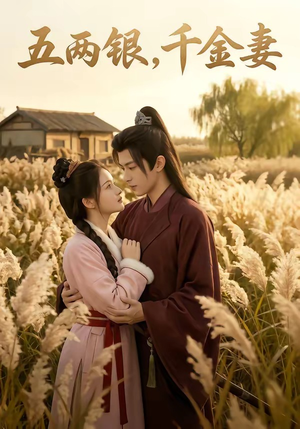 五两银，千金妻（60集）网上可以看吗