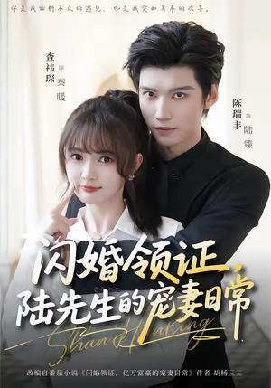 闪婚领证，陆先生的宠妻日常（86集）口碑爆棚免费看