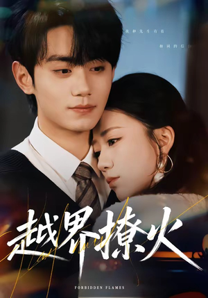 越界撩火（64集）在线看免费版