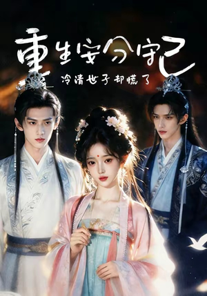 重生安分守己（13集）360网盘观看