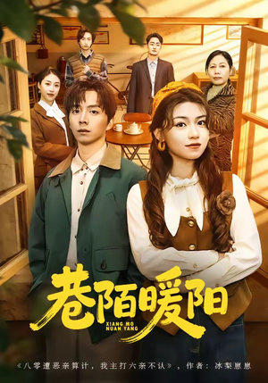 巷陌暖阳（80集）观看软件