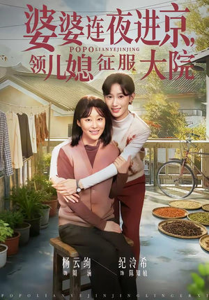 婆婆连夜进京，领儿媳征服大院（78集）看短剧放松一下