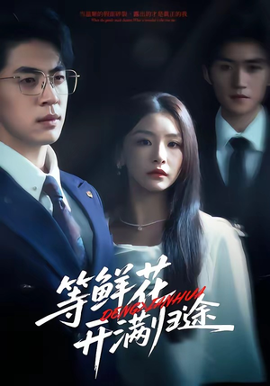 等鲜花开满归途（61集）推荐你们也去看