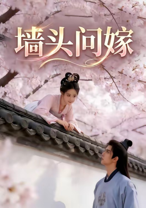 墙头问嫁（29集）免费短剧看全集