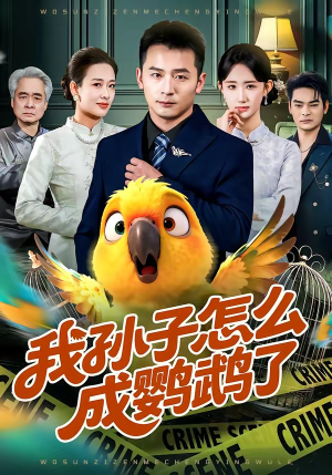 我孙子怎么成鹦鹉了（71集）追短剧看全集