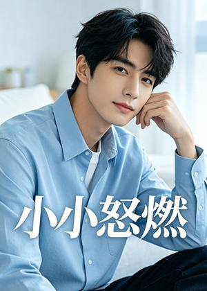 小小怒燃（19集）短剧精彩不断