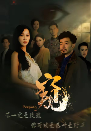 窥伺（37集）免费短剧资源